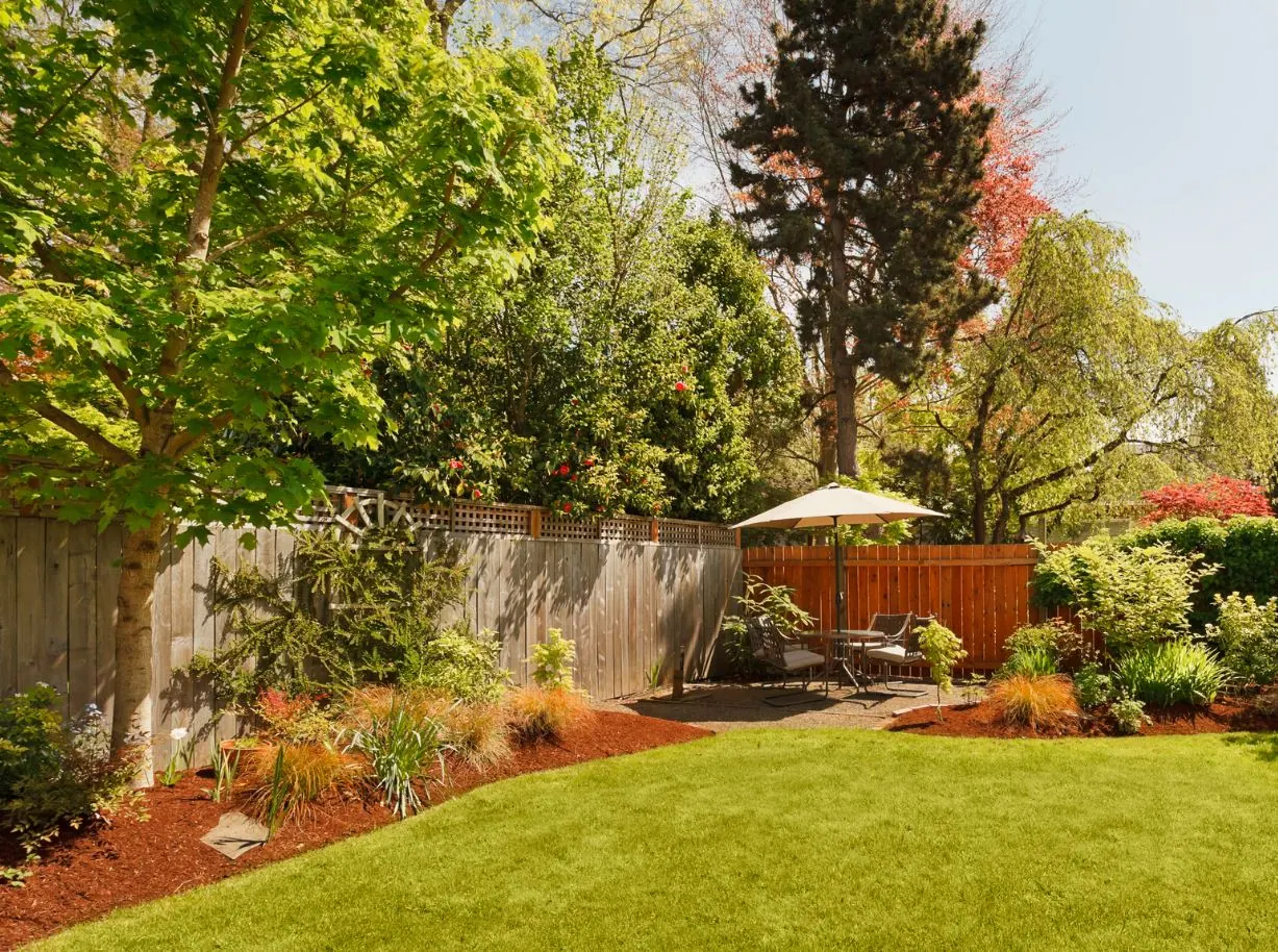 Lawn and landscape project